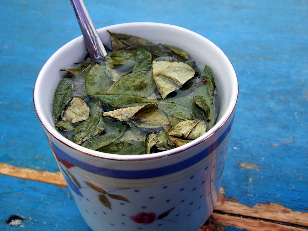 Do you dare sample coca tea? Visit Peru Image: The Peru food tour closes with a cup of coca tea still has the leaves steeping in its cup, and a spoon is sticking out. The cup sits on a table with fading blue paint.