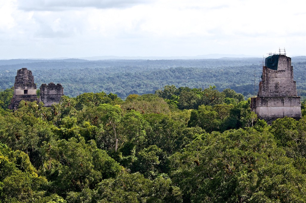 It's not easy to build above the canopy without harming the surrounding area—especially in ancient times. Central and South American Ruins Image: Three structures are poking their architectural heads above the canopy. We see an opening in at least one of them.