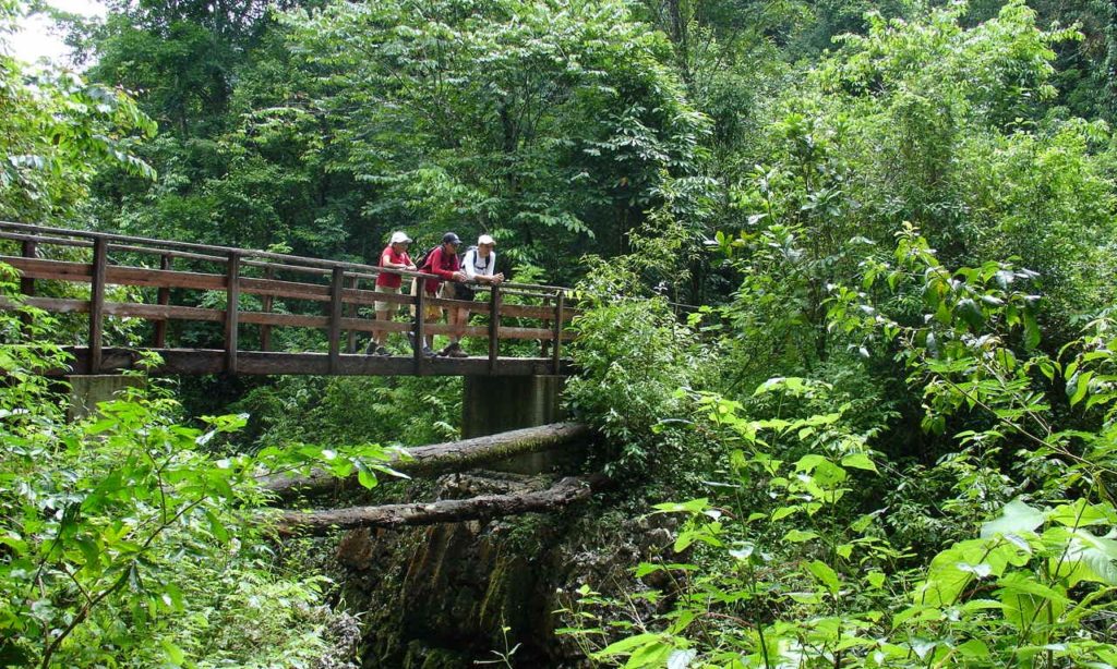 How to appreciate nature: be still, observe, listen, reflect. Rainforests & Natural Wonders Image: Alta Verapaz. Three travellers stand on a bridge and take in the beauty of Alta Verapaz.