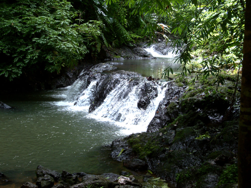 To do: Compare the sounds of this stream flowing over rocks and creating a small waterfall, with the rush and roar of the full-sized version. Rainforests & Natural Wonders Image: Corcovado. Photographed is a stream spilling over rocks to create a small waterfall.