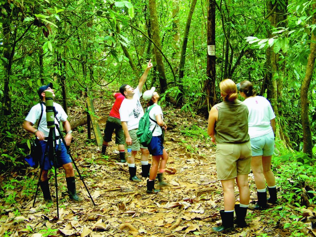 Hmm...What's that they've spotted up there? Eco-Friendly Costa Rica Image: A group of six people are observing something in the trees of a Costa Rican forest.