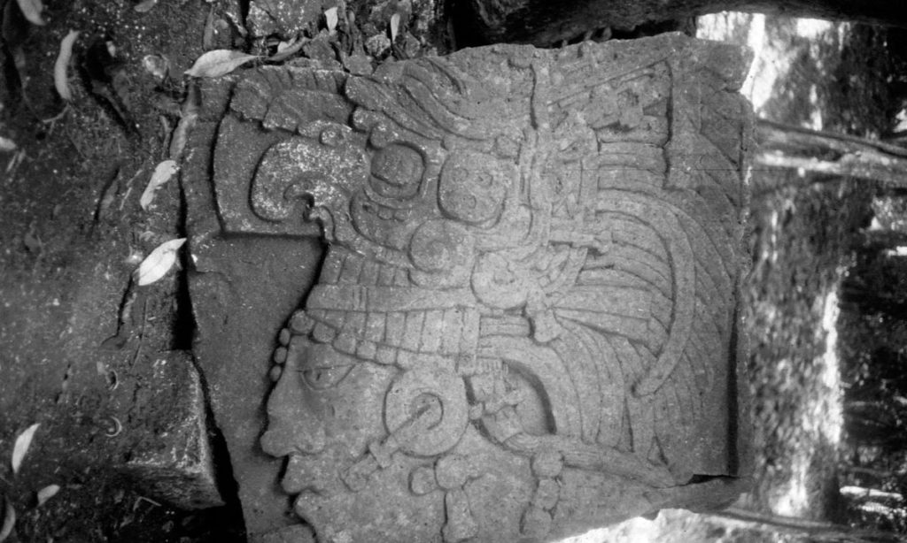 Even with modern tools, many people would be hard-pressed to carve an image of this calibre. Mayan Image: A carved stone relic depicts the head of a Mayan man wearing an impressive headdress.