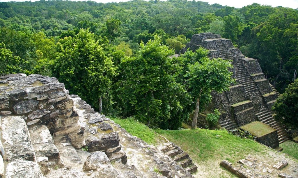 Much like this photograph, new Mayan ruins have emerged from the jungle. Mayan Image: A partial aerial view shows Mayan ruins emerging from a rainforest.