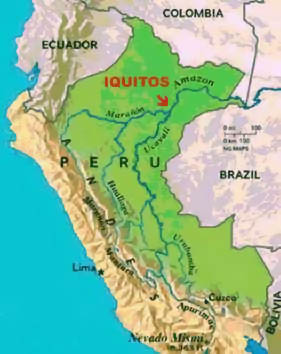 Peru's section of the Amazon Rainforest. Peruvian Amazon Image: A drawn map of Peru depicts the Peruvian Amazon Rainforest in shades of green.