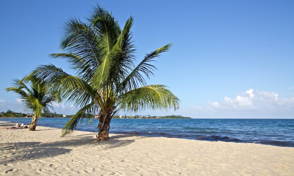 Believe it or not, there are many more beautiful beaches for you to discover. Best Beaches Image: Belize. A beautiful Belizean beach has pristine sand, green palm trees, gentle waves, and blue skies.