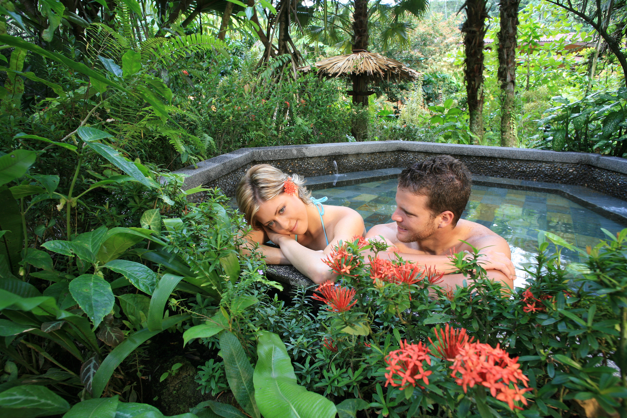 Clear warm water, and splashes of vivd green foliage. What a lovely combination. Hot Springs Image: Tabacon Hot Springs Costa Rica. A couple sits in the warm water enjoying each others company, and admiring the ample foliage surrounding them.