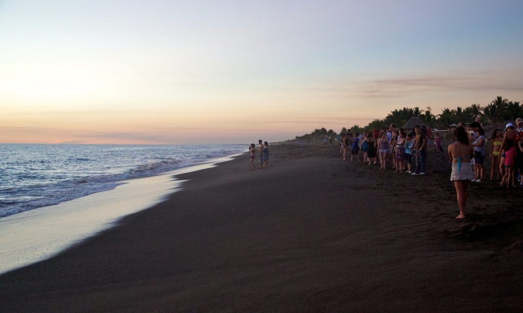 Reflecting on the fact that animals call the coastline home really makes you rethink what the term 'beach house' means to them. Best Beaches Image: Guatemala. A group of people stand on a Guatemalan beach, perhaps waiting for baby sea turtles to make their appearance.