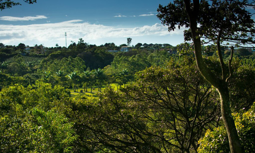 This view is only the beginning. Accessible Travel Image: The landscaping of the hotel, which is also a coffee plantation.