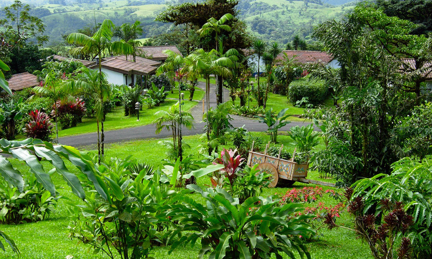 Indulge in your own private cloud forest. Accessible Travel Image: Villa Blanca's beautifully landscaped grounds.