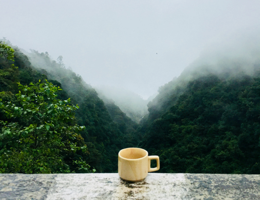 Natural remedies such as a cup of coca tea can help stave off altitude sickness. Altitude Sickness Image: A white ceramic cup rests on a stone ledge, overlooking a tall canopy covered in mist.