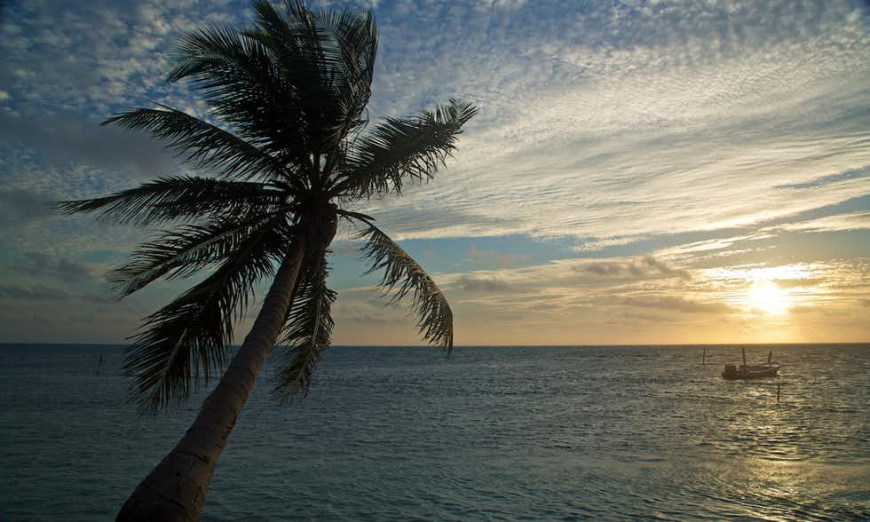 Did you let out a relaxed sigh as soon as you saw this image? Belize and Guatemala Itinerary Image: Early sunset over the water. A boat in the distance and a lone palm tree to the left.