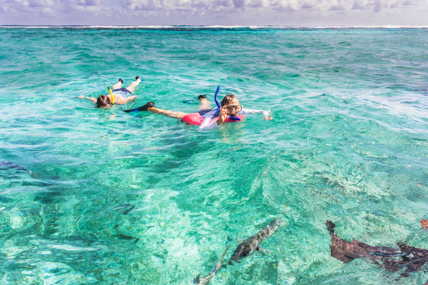 Best Islands in Belize for Families Image: Two people snorkel in the turquoise waters of Belize with fish.