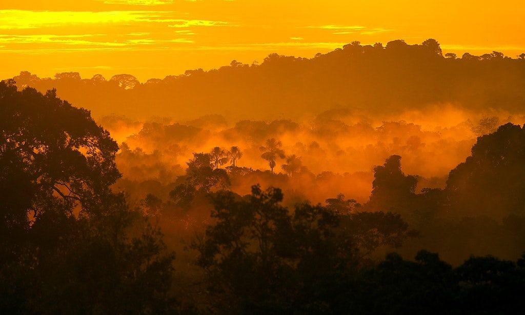 When you chase an endless summer, the sun never really sets. Best Time To Visit South America Image: Golden sunlight in yellows and oranges burnish the lush green Amazon Rainforest.