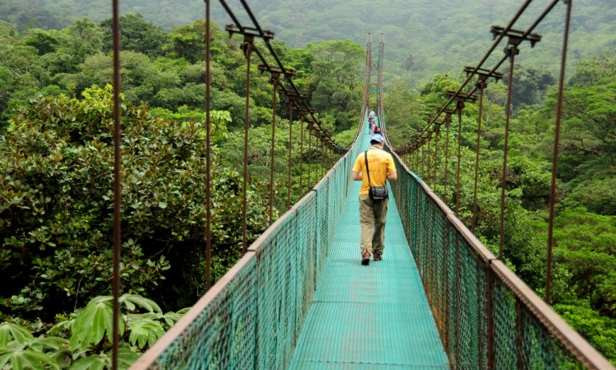 Whilst on holiday, you can do amazing things—like walk amongst the clouds. Best Travel Stories Image: A person walks over a bridge suspended above a rainforest canopy—this is known as a cloud forest.