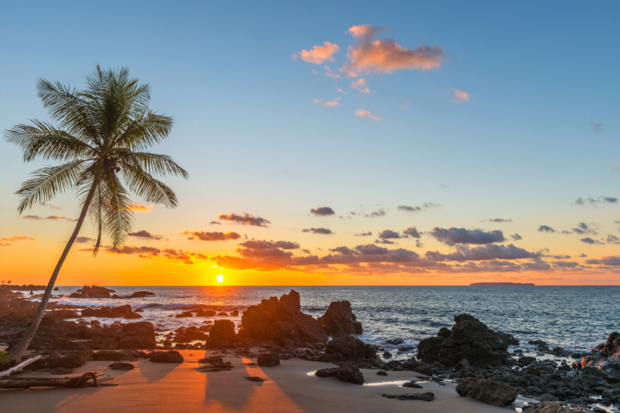 This looks like a postcard, but it could be your next winter getaway... Central America in Winter Image: Sunset on a tropical beach with palm tree.