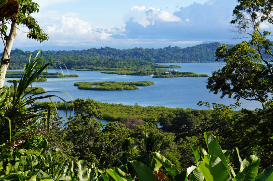 So lusciously green. Central America Islands Image: A view of the verdant islands of Bocas del Toro.