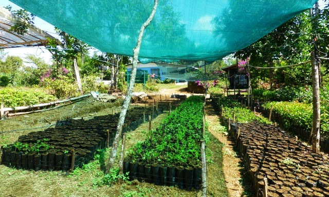 Pay a meaningful visit to a different country, and leave with a story of how you made a connection with different people from a different culture. Costa Rica Activities Image: Rows of greenery await planting on a small farm.