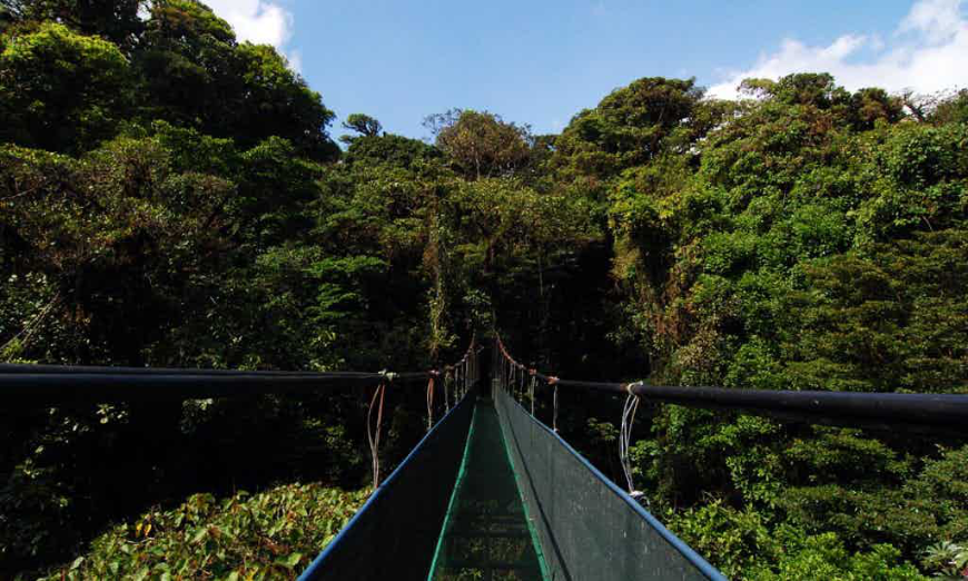 This is the closest you'll get to walking on air, right now. Costa Rica Rainforest Tours Image: Crossing a suspension bridge under a blue sky.