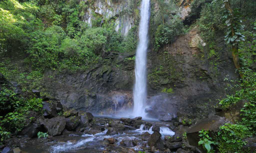 What will you discover during your rainforest tour? Costa Rica Rainforest Tours Image: A waterfall cascades down into a rocky pool in the midst of a forest.