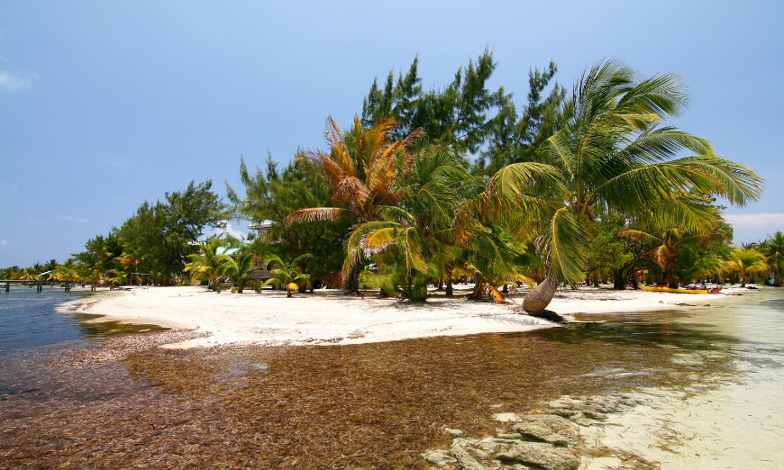 Don't just explore the sea, explore nearby islands too! Diving In Belize Image: A small palm tree covered island in Glover's Reef.