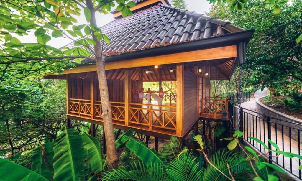 Hold your pose, and be like the trees surrounding you—sturdy and calm. Eco-Friendly Costa Rica Image: Three yoga practitioners are in an open-air building holding their poses, surrounded by trees.