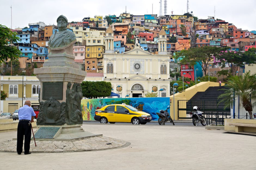 Living in a concrete jungle makes it easy to forget about wildlife — unfortunately. Ecuador Wildlife Image: A gentleman with a cane reads the inscription on a statue in the middle of a colorful city.