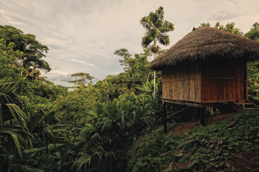 A natural structure enhances the beauty of nature. Ecuador Wildlife Image: A bamboo lodge with thatched roof on stilts in Cuyabeno Wildlife Reserve.