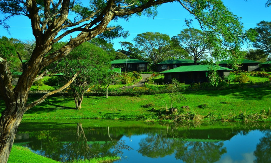 Who says promoting sustainability means sacraficing comfort? Environmentally Sustainable Travel Image: A view of Buena Vista Lodges shows trees, a manicured lawn, a pond, and one of the lodge's buildings.
