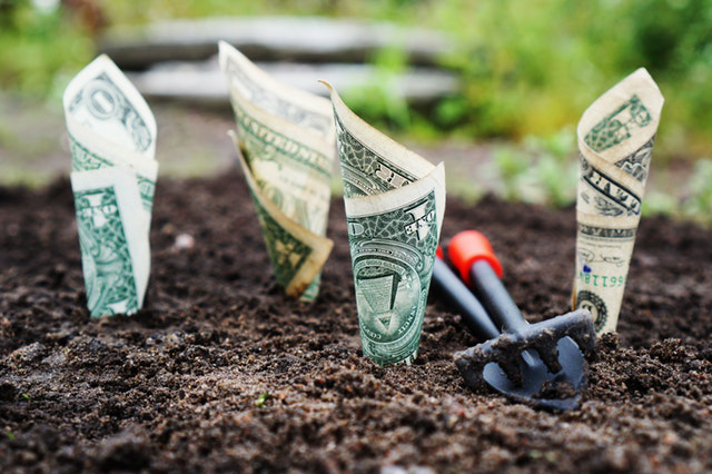 If only cultivating financial growth was this easy! Environmentally Sustainable Tourism Image: United States Dollar bills are rolled up into cones, and stuck into the ground. Gardening tools are adjacent.