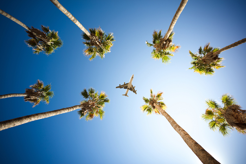 Trip Postponement Image: Looking up through palm trees, an airplane soars through a sunny, clear blue sky.