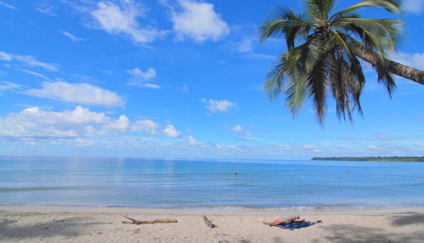 Green Season Image: An uncrowded beach in Cahuita, with blue skies and water, and a lush palm tree.