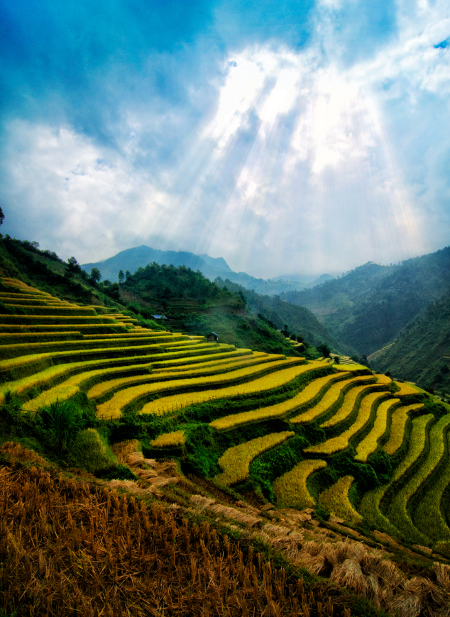 The simple and elegant beauty of Sapa, Vietnam. Is Sapa Worth Visiting Image: Sunlight beams down across the verdant landscape of Sapa.