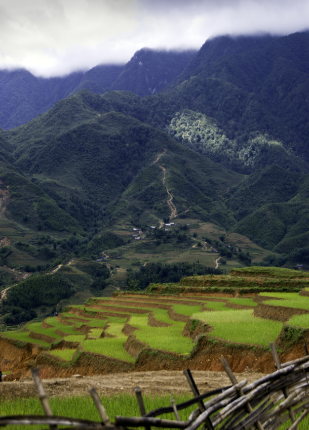 A series of staggered rice paddies, winding trails, and mountainous ridges makes for a trekker's delight. Is Sapa Worth Visiting Image: Sapa is a series of staggered rice paddies, winding trails, and mountainous ridges.