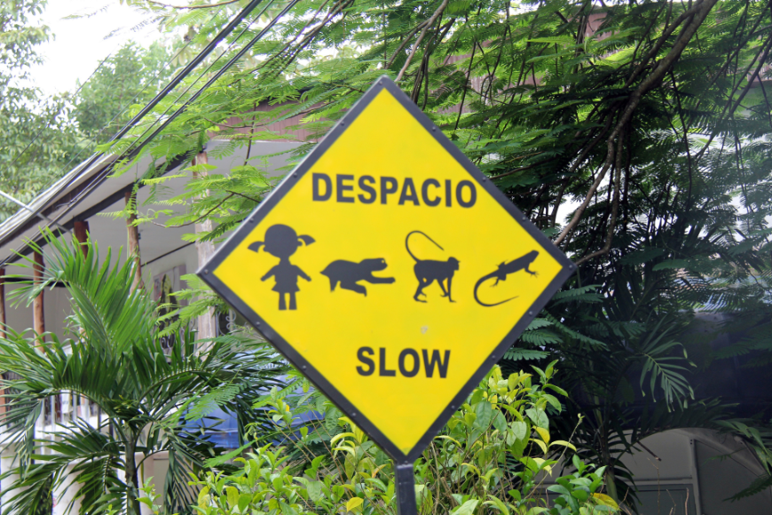 Priorities... Make-A-Wish Costa Rica Image: A yellow caution sign reads 'Depacio' or 'Slow,' and has an image of a child, sloth, monkey, and lizard.