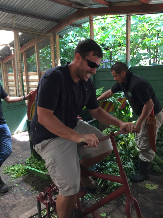 Monteverde Image: The author's husband straddles a leaf chopping device. He is wearing khaki shorts, a black T-shirt, and dark sunglasses.
