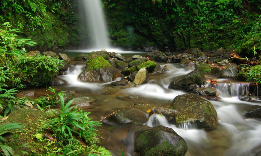 You can practically hear the rush and feel the misty spray of the water... Moving to Panama Image: A small waterfall splashes over rocks, surrounded by lush foliage.