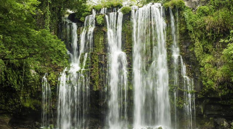 This picture is beautiful, but some things, you just have to see for yourself. Offset Travel Carbon Footprint Image: A waterfall cascades over rocks and greenery.