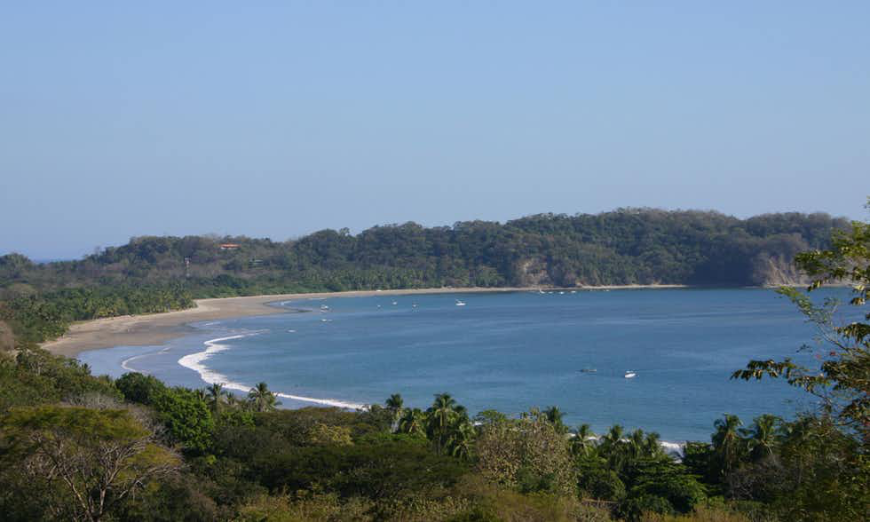 Pacific and Caribbean Costa Rica Image: A curved section of Samara's ocean, beach, and trees seen from a distance.