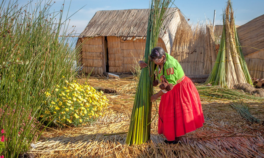 You can build an island, but that doesn't mean it's a one-time feat. Peru Group Tour Image: A woman maneuvers a tall bundle of grass.