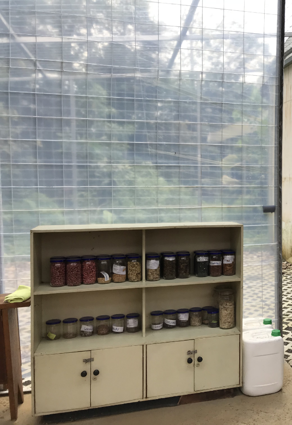 Another way to help the environment? Repurposing/recycling containers. Reforestation Image: Within one of the nursery operation's rooms is a cabinet filled with seeds awaiting planting.