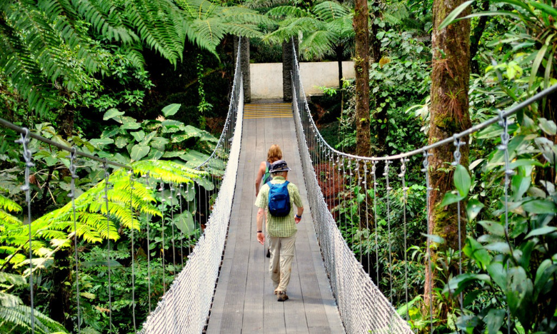 If you're not scared of walking over a forest canopy, why be scared of a new destination? Is It Safe to Travel in Costa Rica Image: Two travelers walk across a jungle suspension bridge.