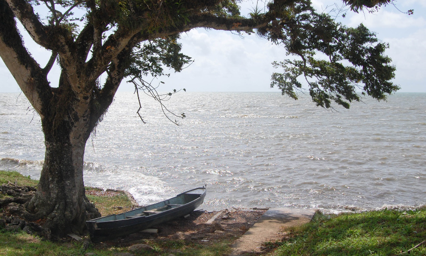 You won't find this scene on a busy beach, but you will find it by going off the beaten path. Sustainable Travel Image: A lone canoe is docked under a tree on an isolated beach.