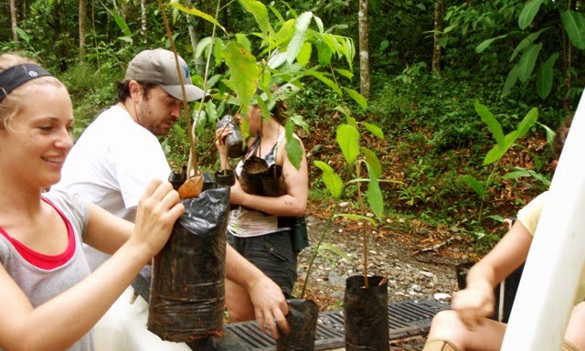 If you support sustainable tourism, then be a champion for the cause! :-) Sustainable Tourism Image: A group of volunteers prepares to plant saplings.
