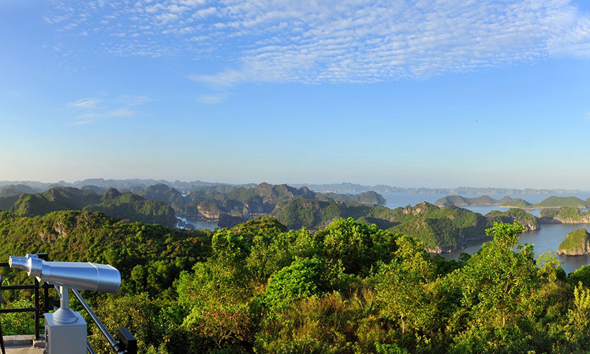 Bonus points if you go to this observation area to check out this view. Vietnam Island Destination Image: View from an overlook shows many trees and smaller islands.