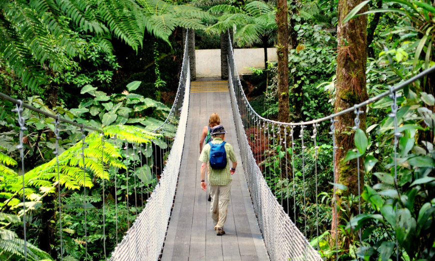 Fully immerse yourself in your holiday—let us worry about the details. Why Choose A Travel Agent Image: A pair of travelers crosses a suspended bridge in a jungle.