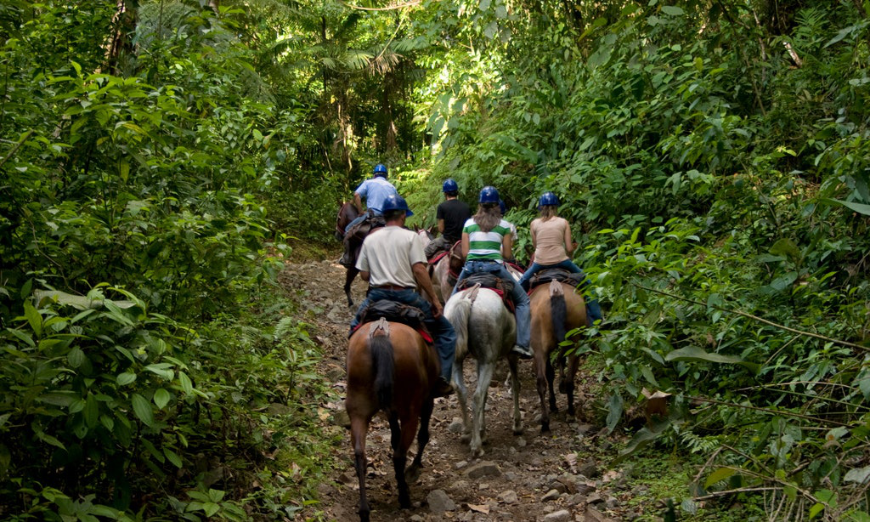 Yes, we still offer access to more modern methods of transportation. Why Choose A Travel Agent Image: Five people are seen from behind on a horseback riding tour.