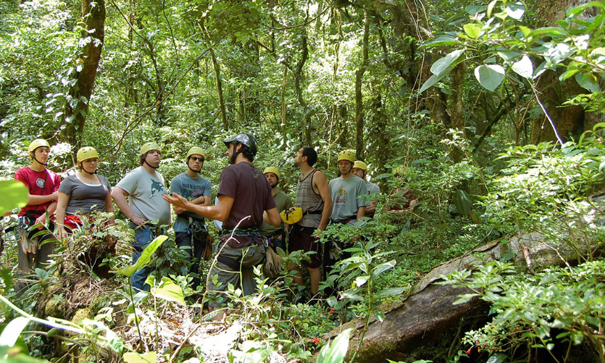 Enjoy the scenery without worrying about getting lost. Why Choose A Travel Agent Image: Eight people wearing yellow helmets stand in a rainforest listening to their guide.